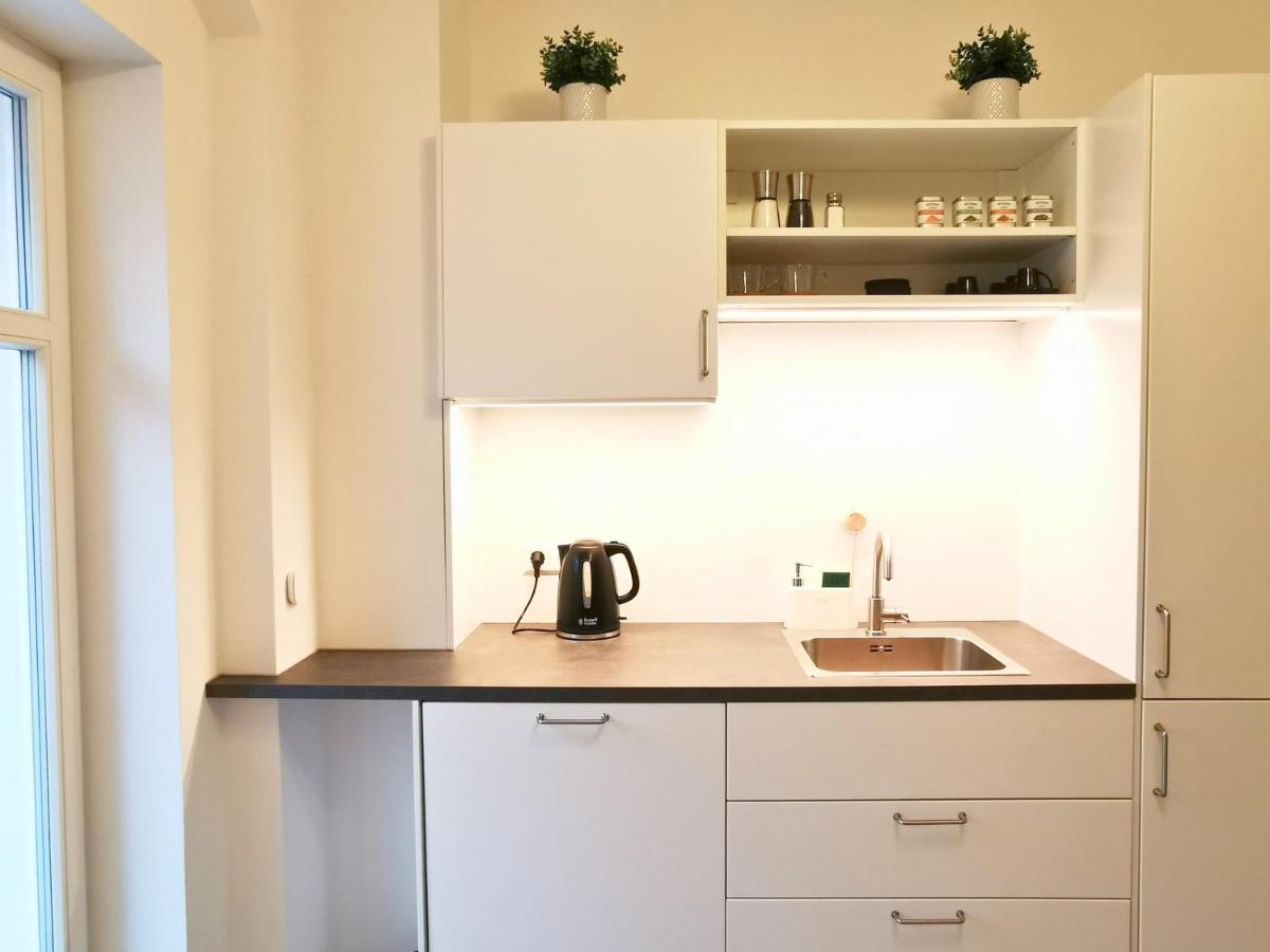 Fynbos Apartments Deluxe, Balkon, Historisch, Parkplatz Meißen 외부 사진