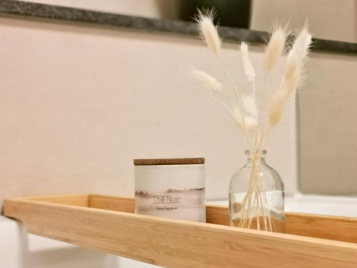 Fynbos Apartments Deluxe, Balkon, Historisch, Parkplatz Meißen 외부 사진