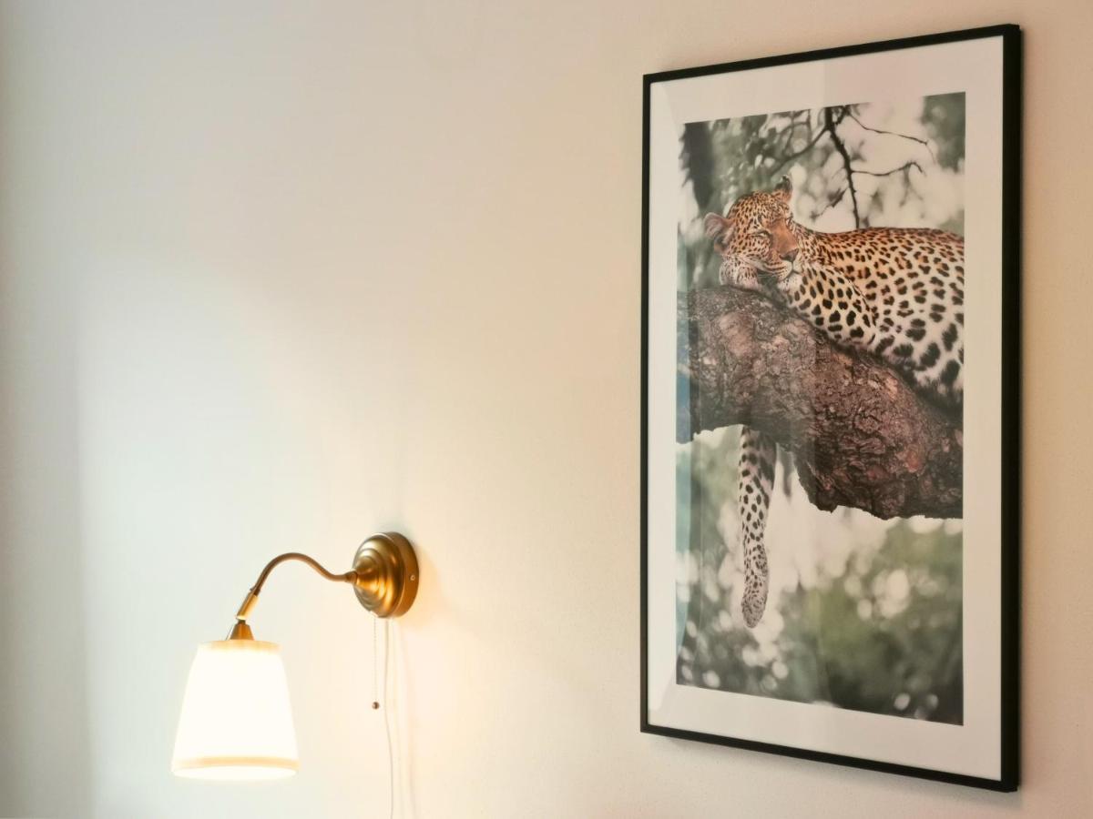 Fynbos Apartments Deluxe, Balkon, Historisch, Parkplatz Meißen 외부 사진