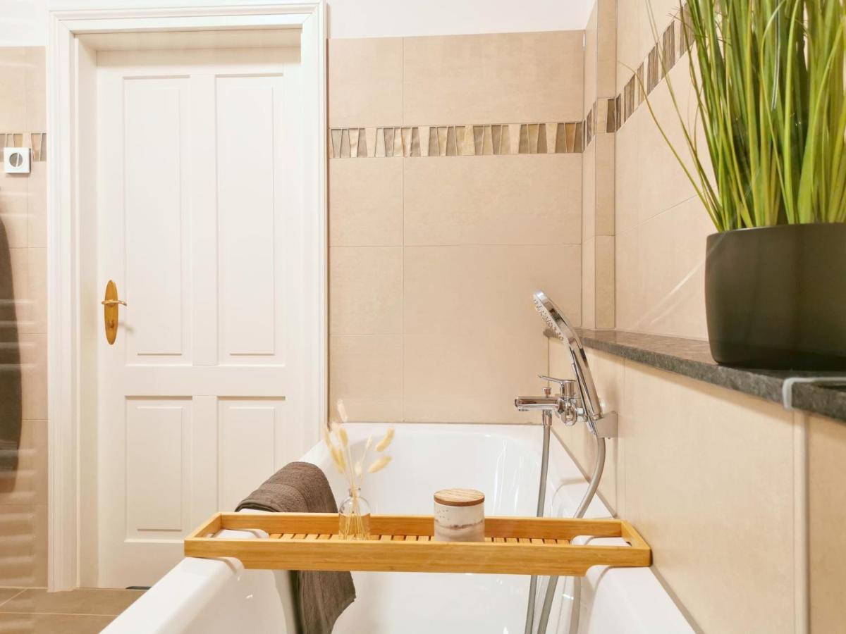 Fynbos Apartments Deluxe, Balkon, Historisch, Parkplatz Meißen 외부 사진